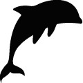 Dolphin021