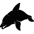 Dolphin038