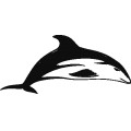 Dolphin039