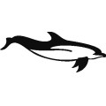 Dolphin040