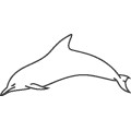 Dolphin054