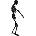 Gm Skeletons 27