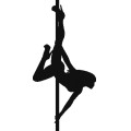 Df Pole Dance 009