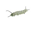 Oca Worm 002