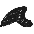 Wings001