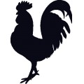 Cock 公雞