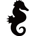 Oca Sea Horse 001