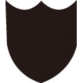 Pt Shield 09