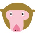Pt Monkey 012