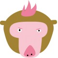 Pt Monkey 013