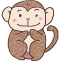 Pt Monkey2016