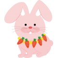 Oca Rabbit 04