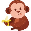Pt Monkey 020