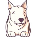 Bull Terrier Dog 001