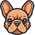 French Bulldog Dog 003