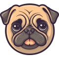 Pug Dog 003