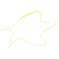 Pt Fluffy Star B