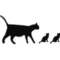 Molumen Cat Icons 2