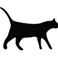 Molumen Cat Icons 4
