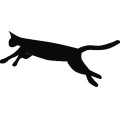 Zeimusu Leaping Cat
