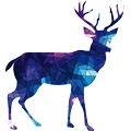 elk