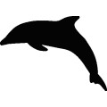 Dolphin007