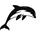 Dolphin010