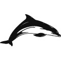 Dolphin012
