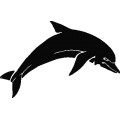 Dolphin014