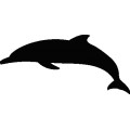 Dolphin015