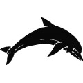 Dolphin018