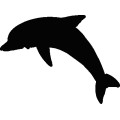 Dolphin023