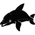 Dolphin033