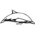 Dolphin049