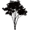 Tree010
