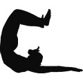 Df Yoga Silhouettes 012