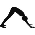 Df Yoga Silhouettes 015
