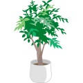 Df Home Plants 001