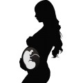 Df Pregnant Women 004