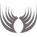 Gm Tattoo Wings 033