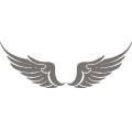 Gm Tattoo Wings 035