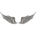 Gm Tattoo Wings 035