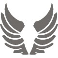 Gm Tattoo Wings 045