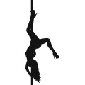 Df Pole Dance 007