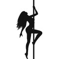 Df Pole Dance 012