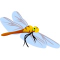 Oca Dragonfly 001