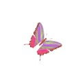 Oca Butterfly 027