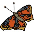 Oca Butterfly 031