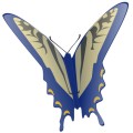 Oca Butterfly 061
