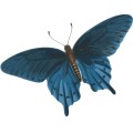 Oca Butterfly 083